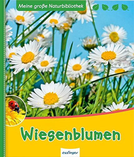 Preisvergleich Produktbild Wiesenblumen (Meine große Naturbibliothek)