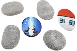 LongZYU Beach Pebbles for Drawing 6 Pcs Smooth Flat Large Beach Stones for Painting Crafts Pebble Art Set of 60-70 mm Decorative Painting Flat Rock Pebbles for Children Aquariums Garden Decoration