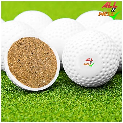 All IZ Well Field Hockey Ball/Cricket Training/Golf Training Practice Ball - Image 3