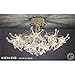 Price comparison product image Kenzo Ceiling 12 Light Gold/Crystal