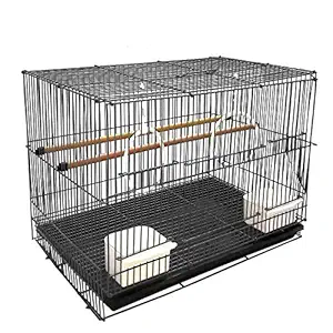 BURAQ 2 FT Birds Cage Best for Love bird cages Parrot, Parakeet, Budgies , Cockatiel Cage Hammock Large Bird Cage with swing Accessories (Size: 23.5