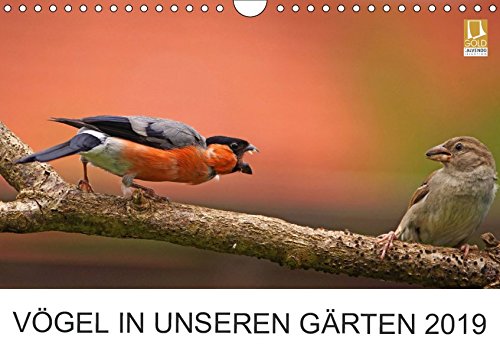 Vögel in unseren Gärten 2019 (Wandkalender 2019 DIN A4 quer): Heimische Vogelarten in unseren Gärten. Fotografiert von Lutz Klapp. (Monatskalender, 14 Seiten ) (CALVENDO Tiere)
