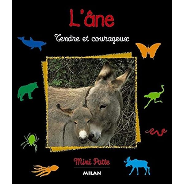 Amazon.fr - Le petit âne vert - Allepuz, Anuska - Livres