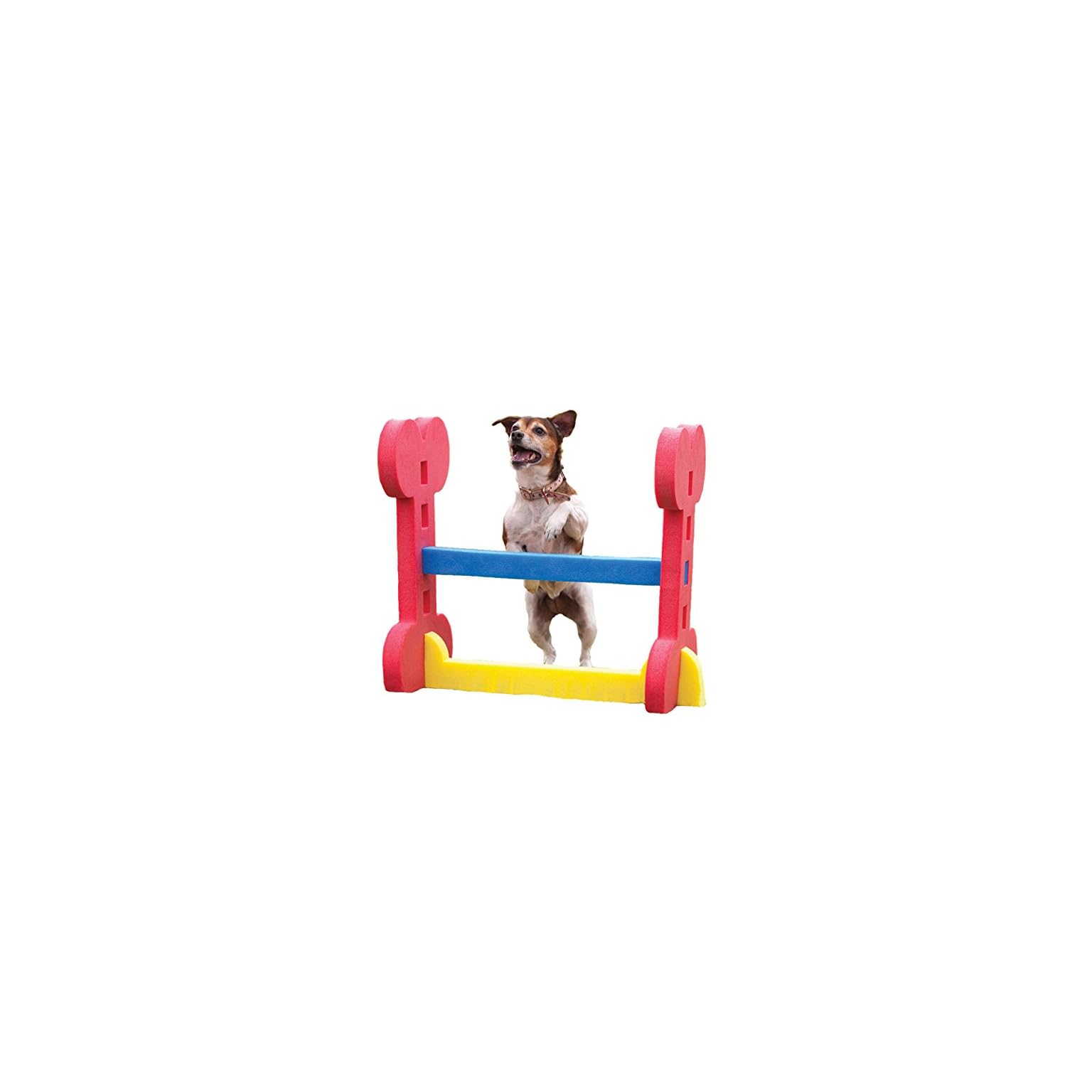 Agility Equipment Dog and Pet supplies Dogs.co.uk