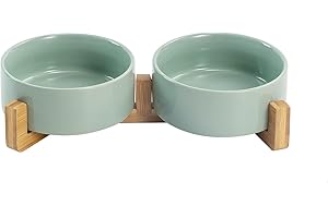 SPUNKYJUNKY Keramik Doppel Futternapf mit Bambus Ständer für Katzen und Hunde (400ml, Hellgrün)