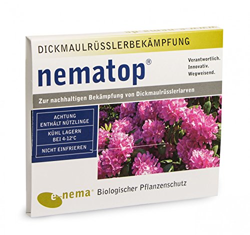 NemaTop HB Nematoden zur Bekämpfung des Dickmaulrüsslers 25 Mio für 50qm