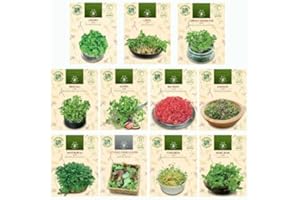 NOJAUS SĖKLOS Microgreen Sprouting Mix - 11 paquetes de semillas para alimentos caseros, frescos, saludables y nutritivos