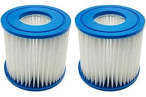 WuYan Lot de 2 Cartouches filtrantes pour Best-Way Type D VII, Cartouche de Rechange Compatible avec Les Cartouches filtrantes pour Intex Type D piscines Spa à Ressort Chaud