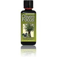 Dünger Oliven Focus 300ml Flüssigdünger Konzentrat Olivenbaum Olive