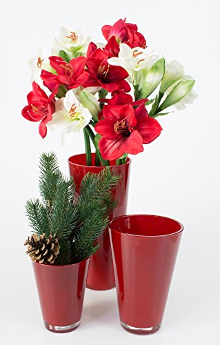 Konische Glasvase ANNA, rot, 21cm, Ø 14cm – Blumenvase / Tischvase - 6