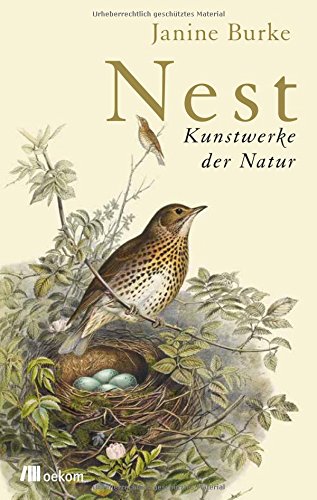 Nest: Kunstwerke der Natur Nest: Kunstwerke der Natur