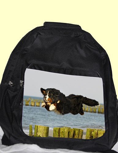 Preisvergleich Produktbild Rucksack Berner Sennenhund