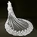 Produktbild AVEIL 3.5M Weiß Brautschleier Elegant Lace Appliques Pailletten Kante 2T Kathedrale Länge Hochzeit Zubehör Schleier Hochzeit mit Kämmen