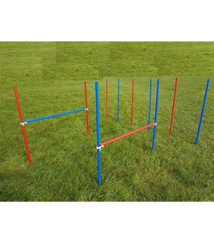 Großes Agility Set Für Hunde Kaufen