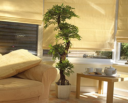 Stilvoller künstlicher Baum & Pflanzen, Der Japanese Fruticosa Tree ist eine wunderschöner künstliche Pflanze für Büros und Innendekorationen Höhe: 165cm groß. Pflanzen für einen Wintergarten - 3
