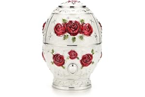 KNBG Porta stuzzicadenti in plastica rigida di alta qualità, scatola portaoggetti vintage per cucina, casa e ristorante