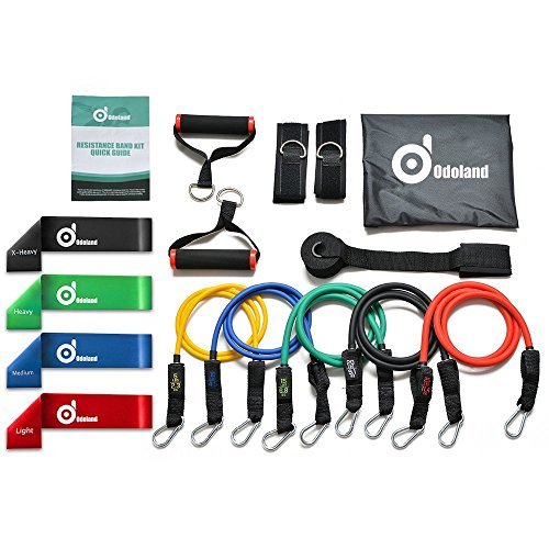 Resistance Bands Sets, ODOLAND Widerstand-Bänder 16 Stück Heavy Duty Set Bestehend aus 4 freien Widerstandsbänder Loop-Bändern Sporttraining-Gewicht zu Verlieren-für Ganz-Körper-Workout Muskelaufbau -Flexibilität zu verbessern
