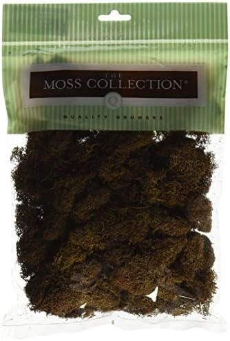 Quality Growers Preserved Reindeer Moss 108.5 Cubic Inches-Walnut
