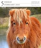 Image de Horse 2016 Gallery Calendar
