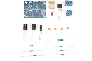 YWBL-WH Módulo amplificador de audio LM1875T DIY Kit 20W Mono Channel HiFi Audio Power Amplifier Board