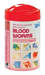 Hikari Bio-Pure Freeze Dried Blood Worms Fish Food, 12 g