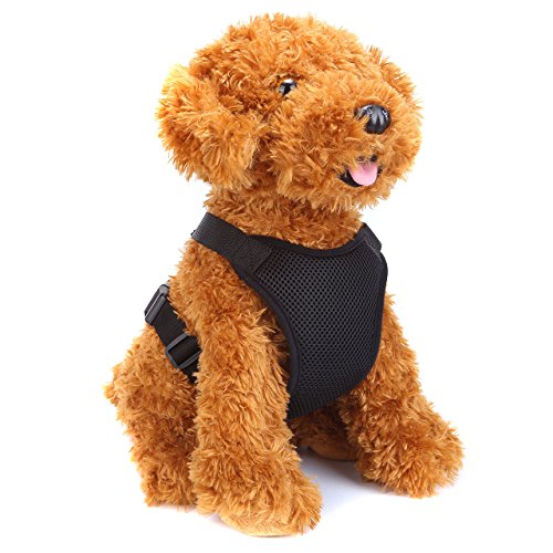 Harnais Achat Vente De Harnais Pas Cher