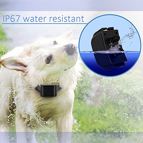 TAN-Advanced-Remote-Dog-Training-CollarRechargeable-and-Waterproof-Anti-Barking-Collar-with-BeepVibration-Blue-Backlight-Screen-No-Shock-Vibration-Bark-Control-Collar