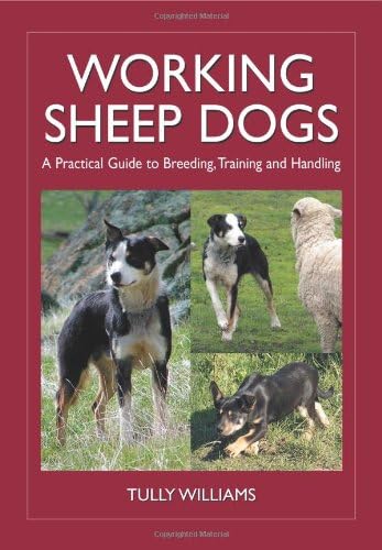 Working Sheep Dogs: A Practical Guide to Breeding, Training and Handling (Landlinks Press)