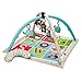 Skip Hop Alphabet Zoo Activity Gym