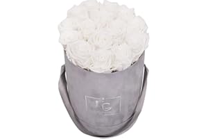 Emmie Gray Classic Infinity ROSENBOX | Velvet Gray | Runde Flowerbox - Infinity Rosen in Grauer Samtbox - 1-3 Jahre Haltbarkeit - Echte Rosen, die jahrelang blühen - Haltbare Rosen (M, Pure White)