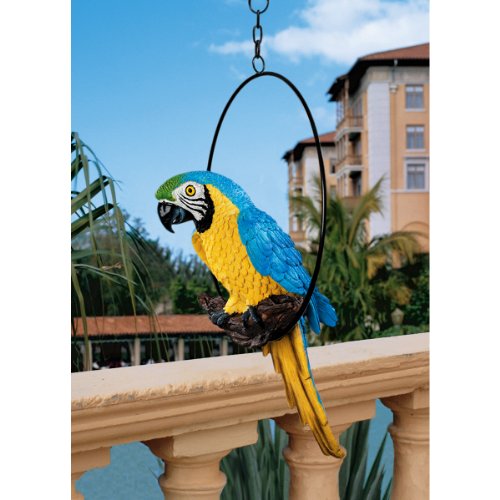 Design Toscano Große Polly in Paradise Parrot Skulptur auf Ring Sitzstange, M - 2