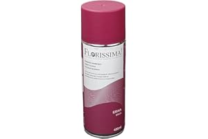 Florissima Farbspray 400ml – Sprühfarbe für Blumen, Deko & Bastelprojekte – Farben: Schwarz, Weiß, Moosgrün, Weihnachtsrot, Lila – Schnelltrocknend & Vielseitig (Lila)