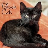 Black Cats Mini 2019 Wall Calendar by