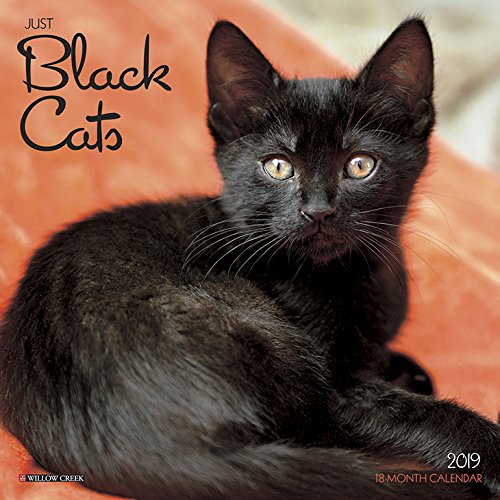 Black Cats Mini 2019 Wall Calendar
