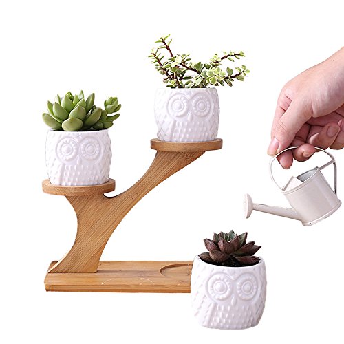 4 En 1 Lot De Vase - Pot De Fleurs Simple Créatif Blanc Plante Succulente En Céramique Motif Bouteille Treetop Bambou Étagère Planteur Créatif Ornement Sans Plante pour Décoration Home, Office, Salon