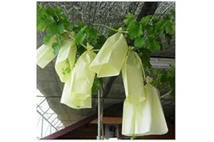 TODOCULTIVO Bolsa de Papel Protectora Uvas o Fruta 100 Unidades. Doble Apertura. Válidas para Proteger racimos de UVA, Frutos Variados o Cualquier Tipo de Plantas Delicada.