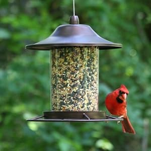 Perky-Pet Mangiatoia Panorama Piccola per Uccelli da 900 g Color Marrone Rustico / 312 - immagine 7