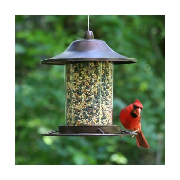 Perky-Pet Mangiatoia Panorama Piccola per Uccelli da 900 g Color Marrone Rustico / 312