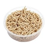 proinsects Ital. Fleischmaden - Angelmaden (30 g, 100 ml, 500 ml oder 1 Liter) (500 ml)