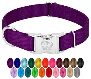 Country Brook Petz - Premium Nylon Dog Collar with Metal Buckle - Vibrant 24 Color Selection (Large, 1 Inch Wide, Purple)