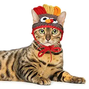 RYPET Cat Turkey Costume - Pet Turkey Hat Thanksgiving Apparel for Cats Small Dogs