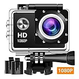 Zaptin 1080P