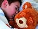 Emotion Pets Bruno the Bear