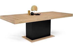 IDMarket - Tavolo da pranzo rettangolare allungabile EDEN 6-10 persone in legno e nero 160-200 cm