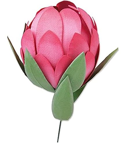 Sizzix Thinlits Die Set 5PK Ranunculus di Olivia Rose, 664925, Multicolor, Taglia unica