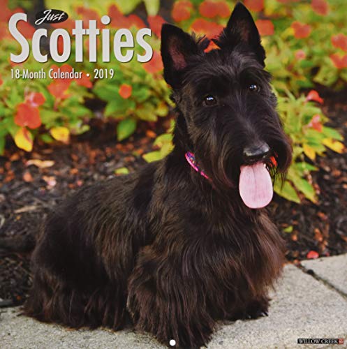 Preisvergleich Produktbild Just Scotties 2019 Wall Calendar (Dog Breed Calendar)