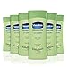Vaseline Intensive Care Aloe Lotion 200 ml - Pack of 6