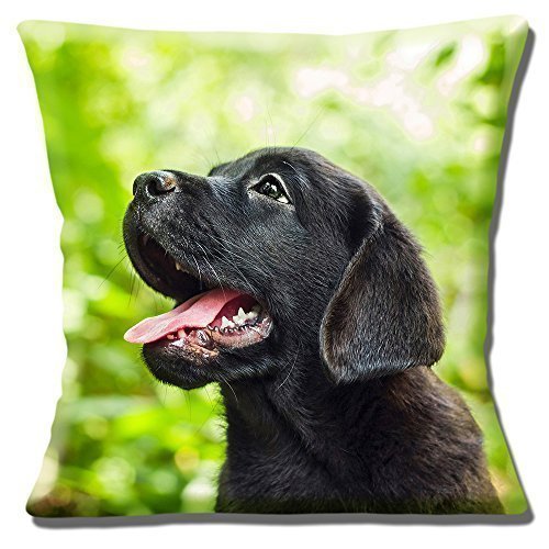 Cute Black Labrador Lab Puppy Close Up Photo Print - 16" (40cm) Pillow Cushion Cover