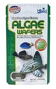 HIKARI Tropical Algae Wafers | 20g | Aquarium Fish Food