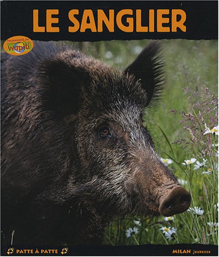 Le sanglier
